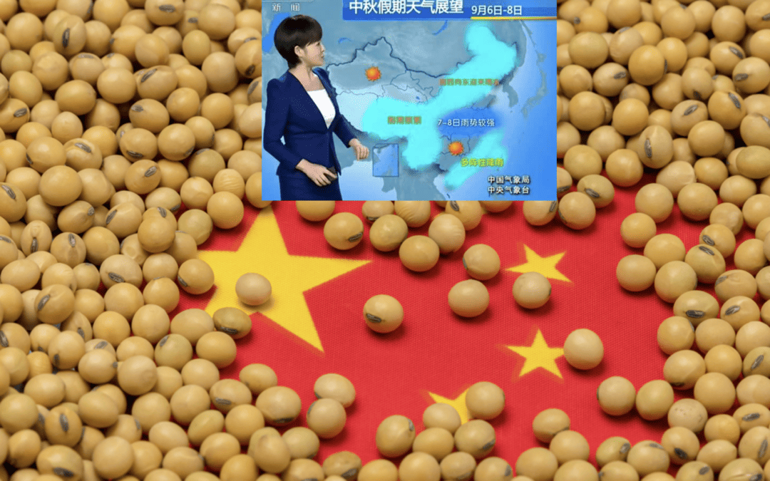 El Niño Weather Forecasting for Commodity Traders | China Crop Impacts